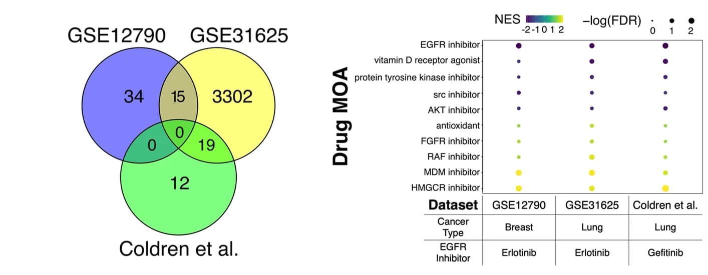 Open access visualization of Venn Diagram, Scatter Plot, Table Image, Transcriptomic signatures, EGFR inhibition