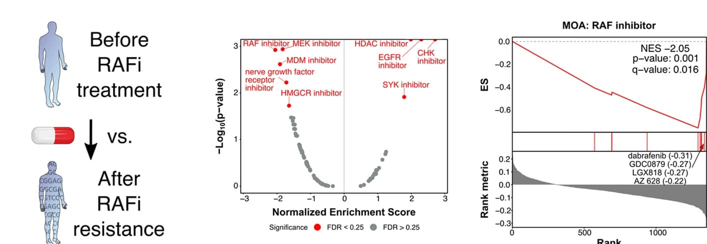 Open access visualization of Volcano Plot, Line Plot, DMEA, GSE66539, Transcriptomic signature