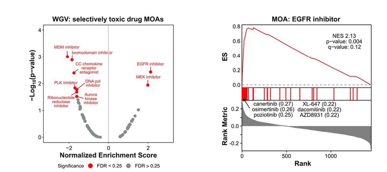 Open access visualization of Volcano Plot, Line Plot, Bar Plot, DMEA, Senolytic drugs