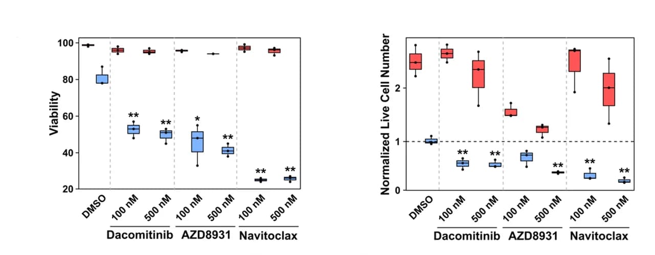 Open access visualization of Box Plot, EGFR inhibitors, Dacomitinib, AZD8931, Navitoclax