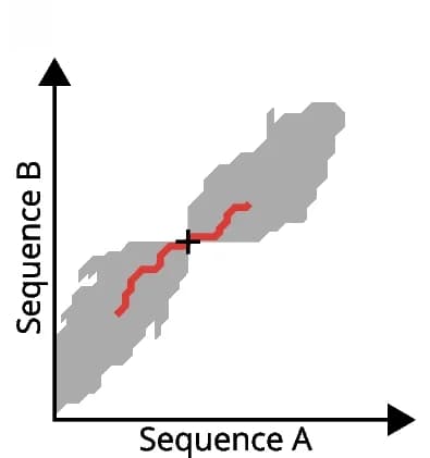 Open access visualization of Line Plot, Sequence Alignment, Dynamic Programming, X-drop Criterion