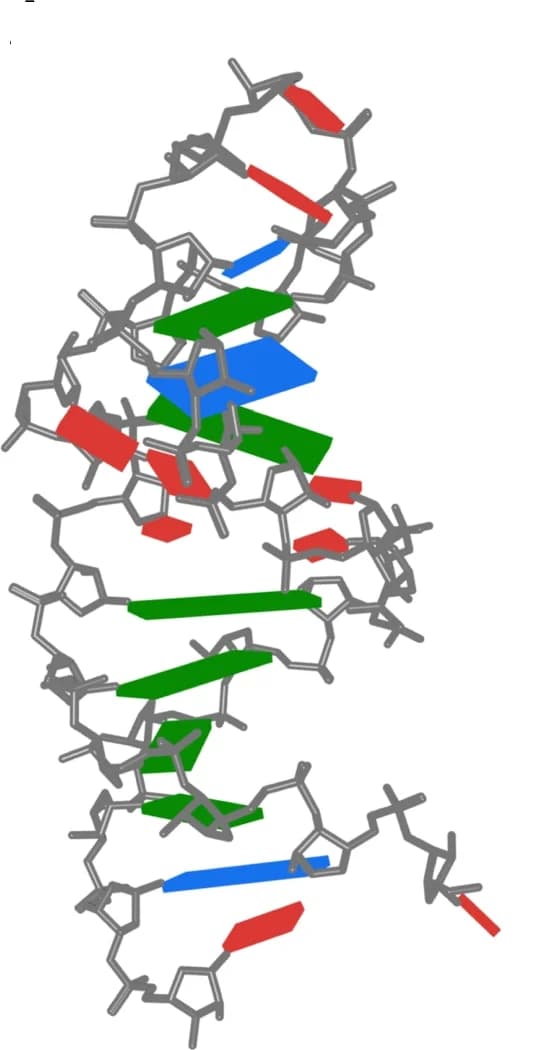 Open access visualization of Protein Structure, Chemical Structure, Base Pairing Interactions, Pymol, Unpaired Bases