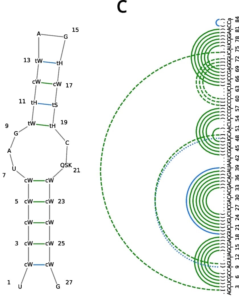 Open access visualization of Illustration, Base Pairing Interactions, Leontis-Westhof Annotations, Nucleotide Secondary Structure, Glycosidic Bonds