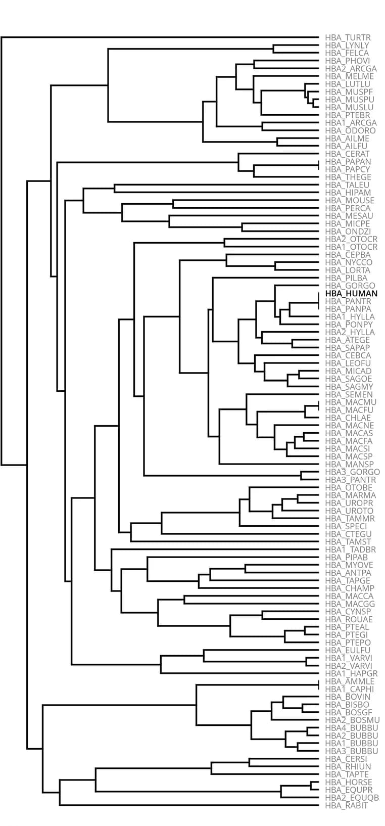 Open access visualization of Line Plot, Network, MSA, Alpha-globin Variants, Guide Tree
