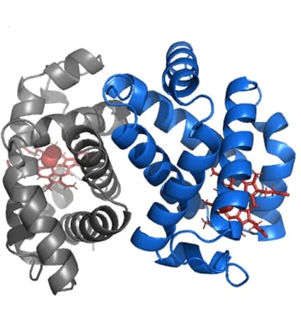 Open access visualization of Protein Structure, Chemical Structure, Asymmetric Unit, X-ray Crystal Structure