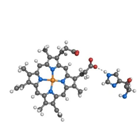 Open access visualization of Chemical Structure, Binding Pose, Hydrogen Bond, Protein