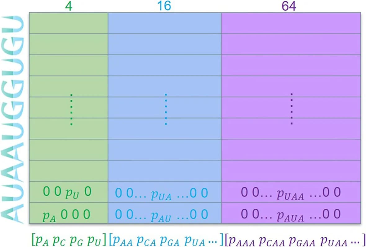 Open access visualization of Table Image, KNFP encoding, Tumor Bulk, Spatial Compartments, Gene Expression