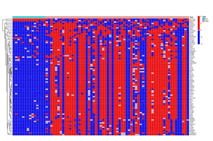 Open access visualization of Heatmap, Clustered, Heat Map, Differentially Expressed Genes, DM