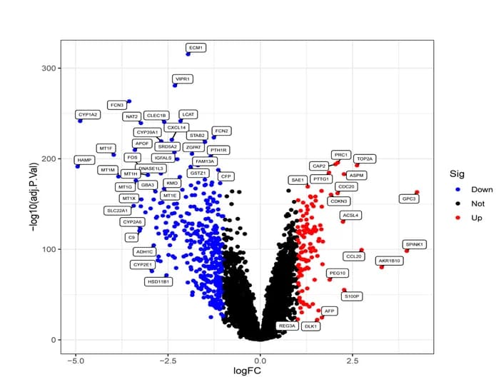 Open access visualization of Volcano Plot, Scatter Plot, Volcano Map, Differentially Expressed Genes, HCC