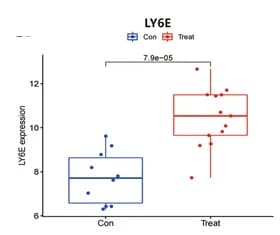Open access visualization of Box Plot, Raincloud Plot, LY6E, Gene Expression, DM
