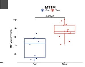 Open access visualization of Box Plot, Scatter Plot, MT1M, Gene Expression, DM
