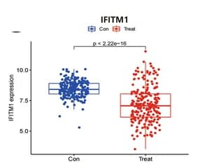 Open access visualization of Box Plot, Raincloud Plot, IFITM1, Gene Expression, HCC