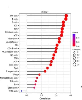 Open access visualization of Bubble Plot, Lollipop Figure, Immune Infiltration Analysis, IFITM1