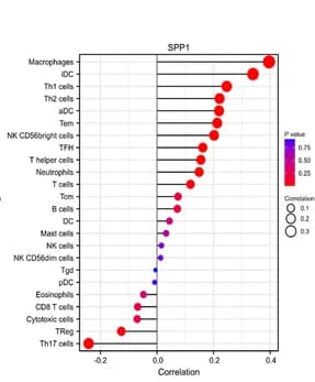 Open access visualization of Scatter Plot, Bubble Plot, Forest Plot, Lollipop Figure, Immune Infiltration Analysis