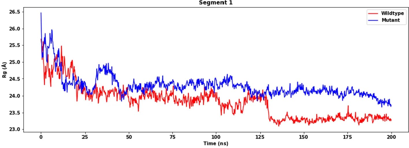 Open access visualization of Line Plot, Wildtype Protein, Mutant Protein, Radius of Gyration