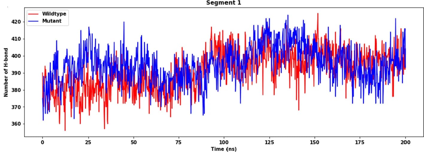 Open access visualization of Line Plot, H-bond, Wildtype Protein, Mutant Protein, Segment 1