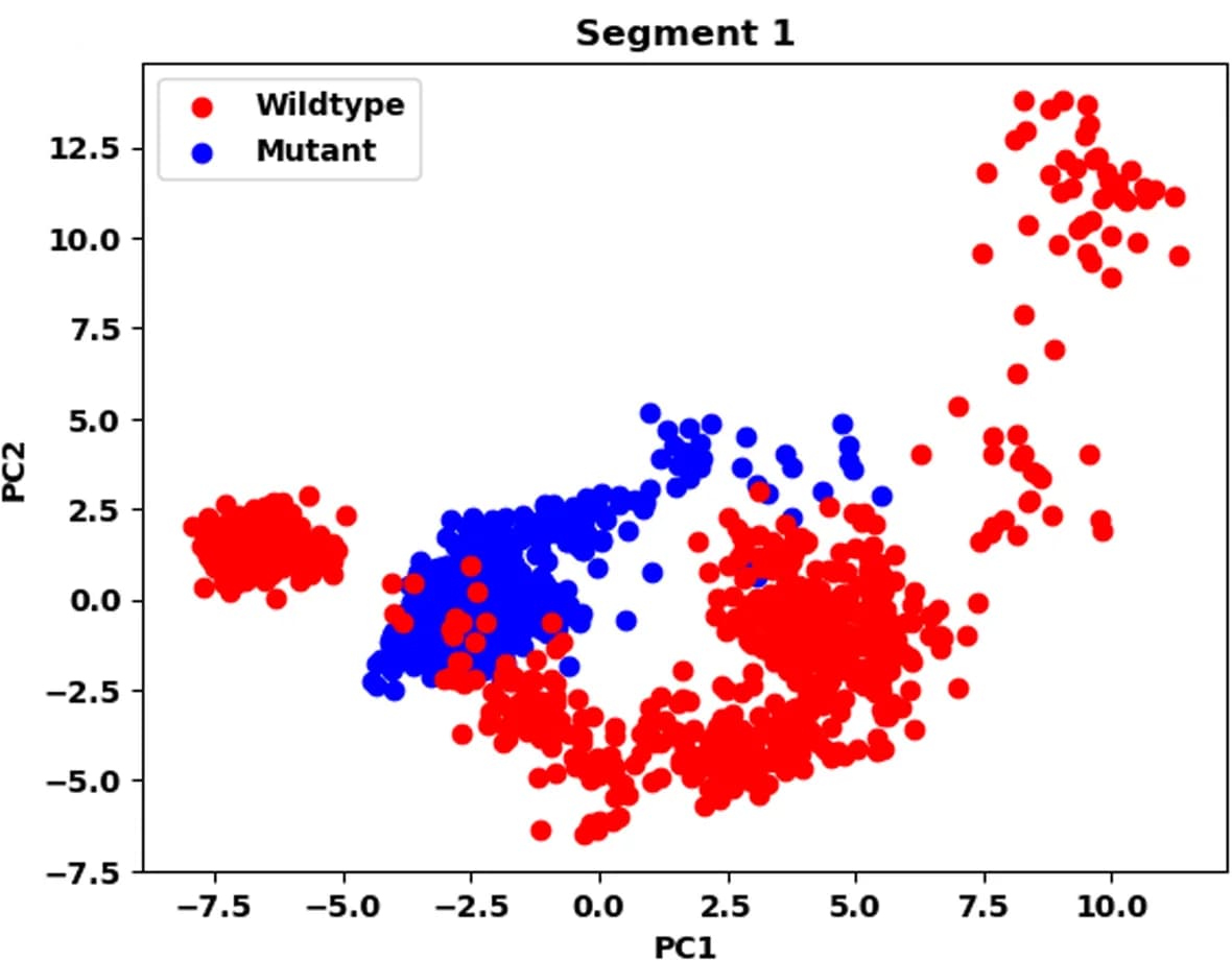 Open access visualization of Scatter Plot, PCA, Trajectory analysis, Segment 1, Wildtype