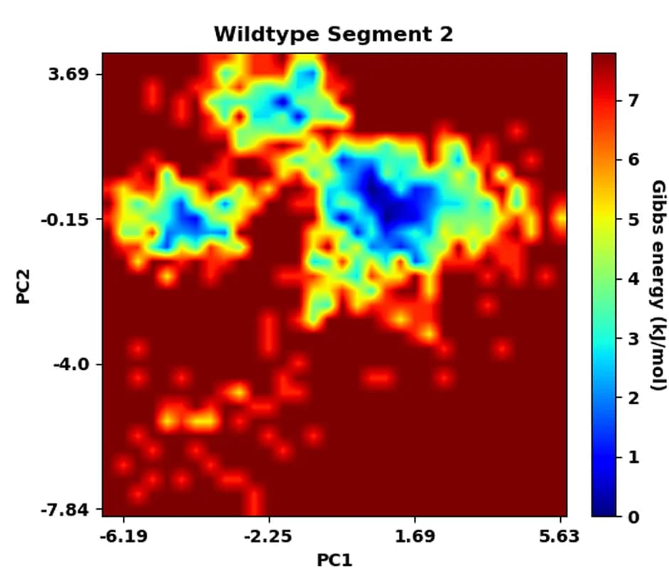 Open access visualization of Heatmap, Free Energy Landscape, Gibbs Energy, Principal Components, Wildtype Segment