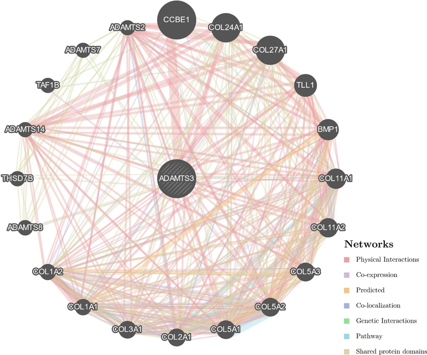 Open access visualization of Network, Pathway, MetaScape Analysis, Genes, ADAMTS3