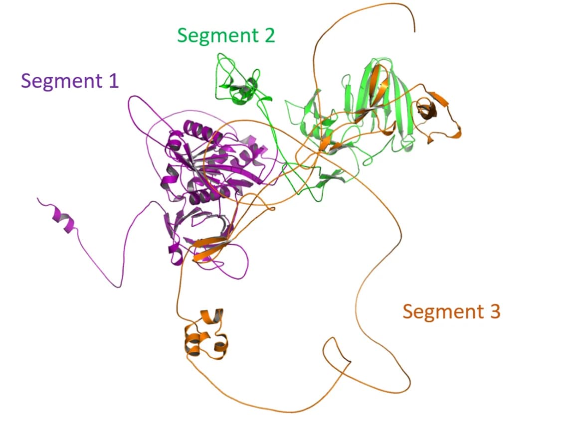 Open access visualization of Protein Structure, Mutant, Segment 1, Segment 2, Segment 3