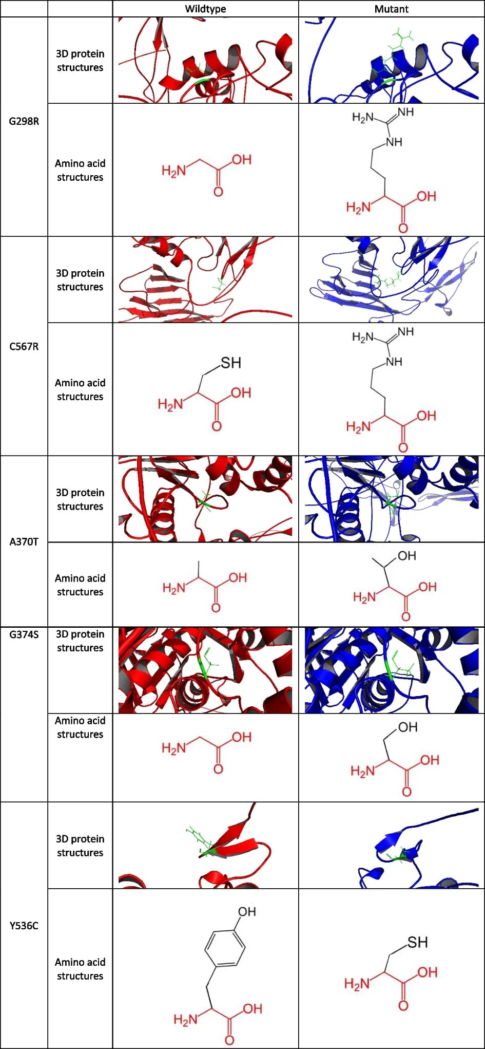 Open access visualization of Protein Structure, Chemical Structure, 3D Protein Structures, Amino Acid Structures, Mutations