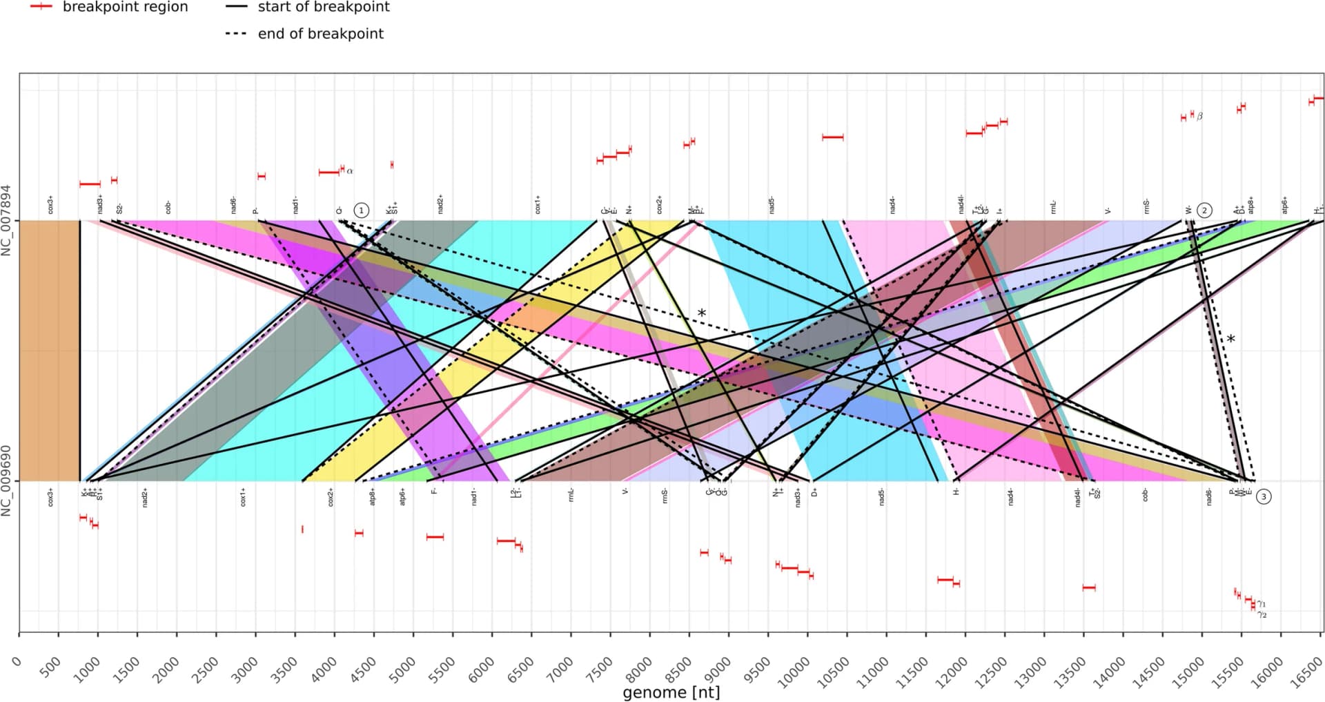 Open access visualization of Illustration, Breakpoint plot, Decapodiforme data set, Case study