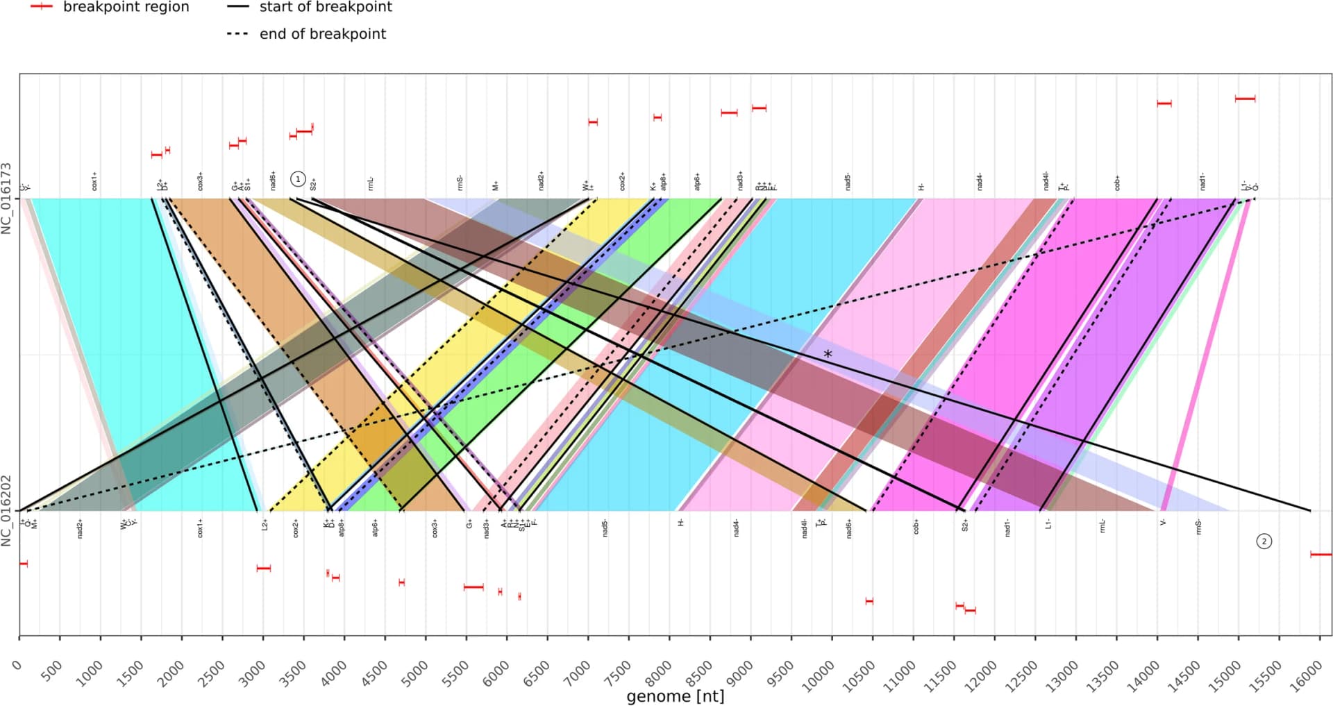 Open access visualization of Line Plot, Network, Sankey, Error Bars, Nematocera Data
