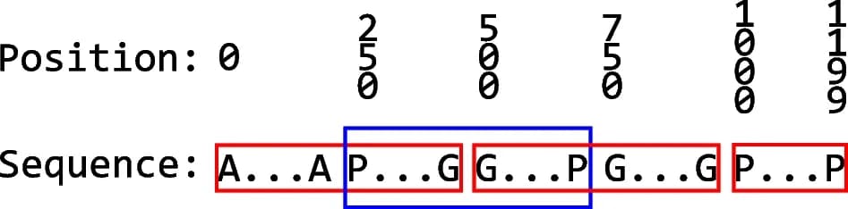 Open access visualization of Illustration, Sliding Window Technique, Protein, Amino Acids, Slices