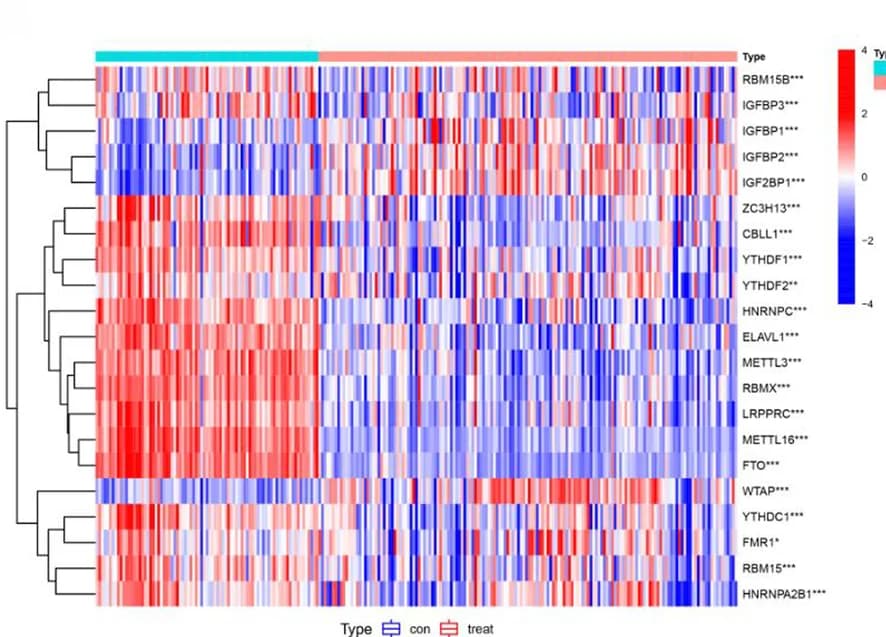 Open access visualization of Heatmap, Clustered, m6A Methylation Regulators, Differential Expression, Sepsis