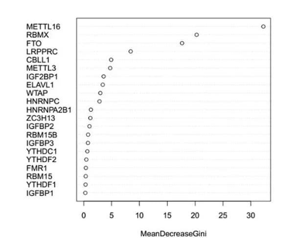 Open access visualization of Scatter Plot, m6A Regulatory Factors, Random Forest Model, Feature Importance