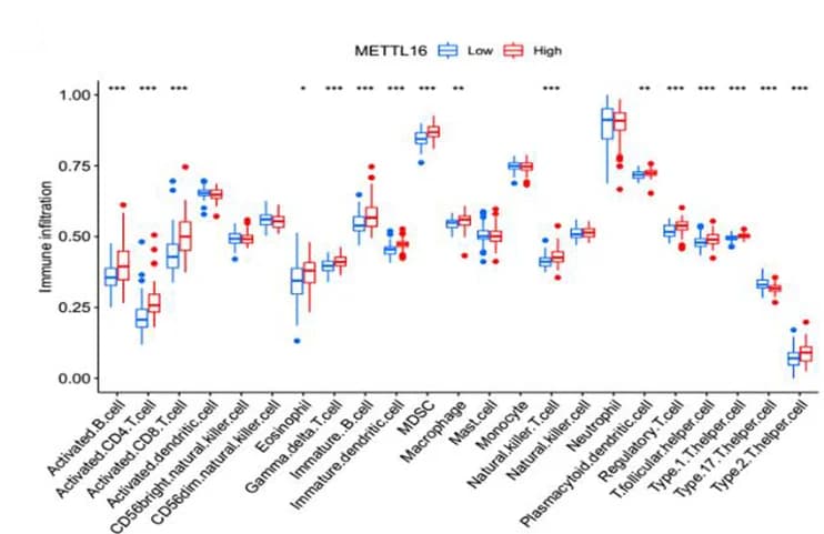 Open access visualization of Box Plot, Positive Correlation, METTL16, Immune Cell Infiltration