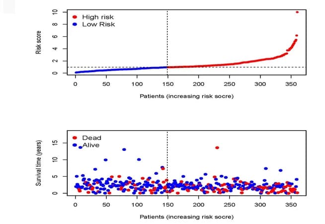 Open access visualization of Scatter Plot, Risk Scores, Survival Status, Gene Expression, TEST Set