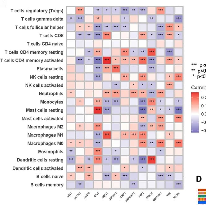 Open access visualization of Heatmap, Immune Cells, Genes, Correlation Heat Map