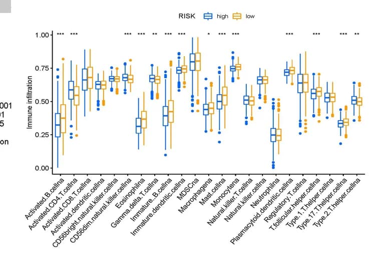 Open access visualization of Box Plot, Immune Cells, High-risk Group, Low-risk Group