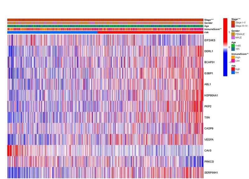 Open access visualization of Heatmap, Clustered, Bar Plot, Clinical Features, Risk Score