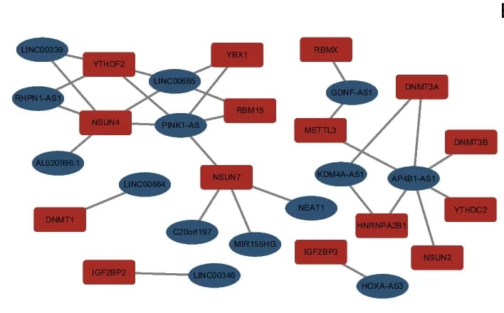 Open access visualization of Network, Pathway, m6A/m5C regulators, lncRNAs, Co-expression network