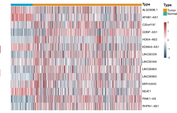Open access visualization of Heatmap, lncRNAs, Brain normal control tissues, LGG tumor tissues, Differential expression