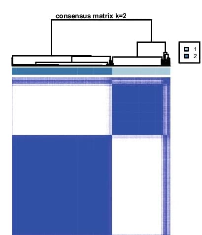 Open access visualization of Heatmap, Clustered, Consensus matrix, Consensus clustering, m6A/m5C-related lncRNAs