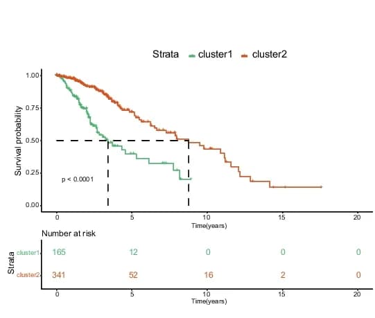 Open access visualization of Survival Curve, Line Step, KaplanMeier curve, Overall survival, Cluster1