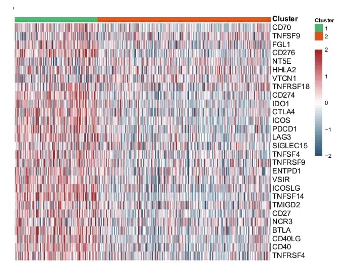 Open access visualization of Heatmap, Clustered, Immune Checkpoint Genes, Differential Expression