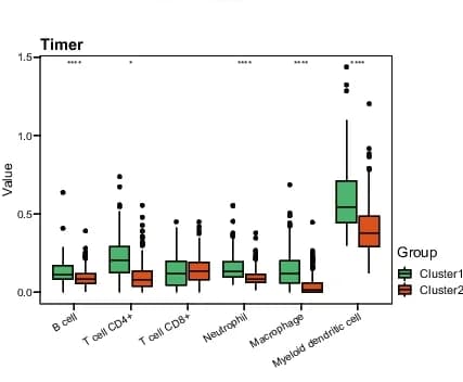 Open access visualization of Box Plot, Immune Cells, TIMER2, Box Plots, Kruskal-Wallis Test