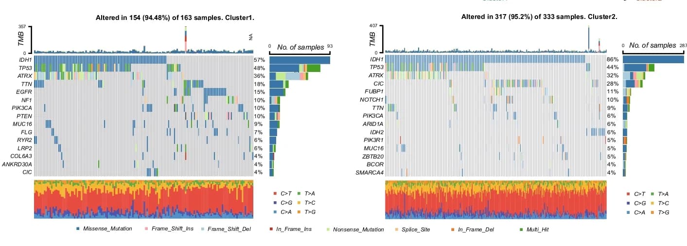 Open access visualization of Stacked Bar Plot, Bar Plot, Heatmap, Waterfall Plots, Somatic Mutation