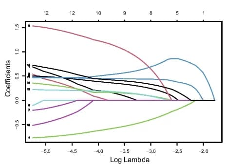 Open access visualization of Line Plot, m6A, m5C, lncRNAs, Prognostic Signature