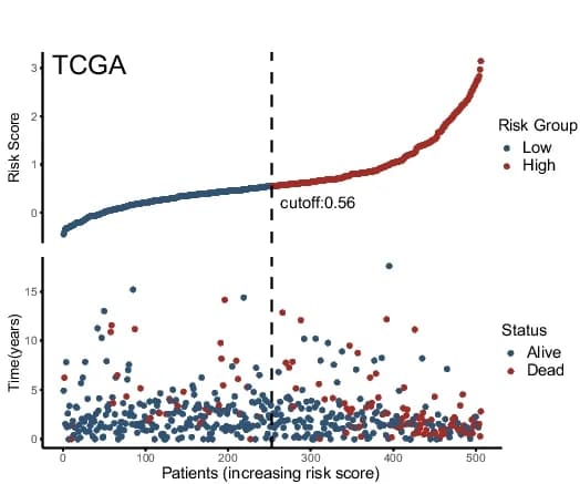 Open access visualization of Scatter Plot, Line Plot, Risk Scores, Overall Survival, m6A