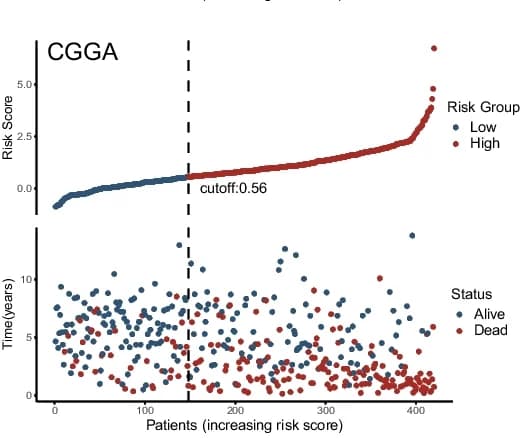 Open access visualization of Scatter Plot, Line Plot, Risk Scores, Overall Survival, m6A