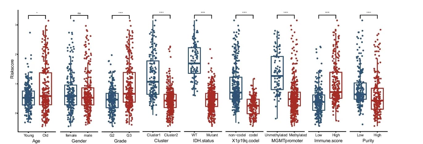 Open access visualization of Box Plot, Scatter Plot, Raincloud Plot, Low-Risk Group, High-Risk Group