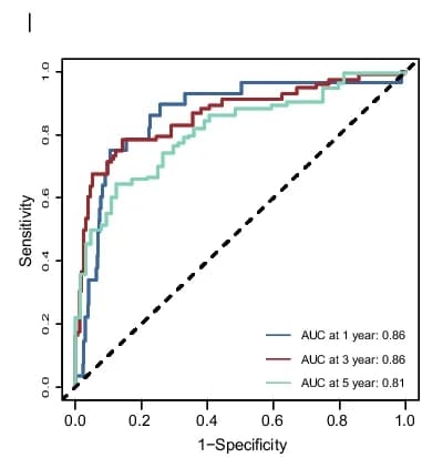 Open access visualization of Line Plot, Line Step, ROC Curve, 1-year OS, 3-year OS
