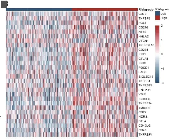 Open access visualization of Heatmap, Differential Expression, Immune Checkpoint Genes, Risk Subgroup