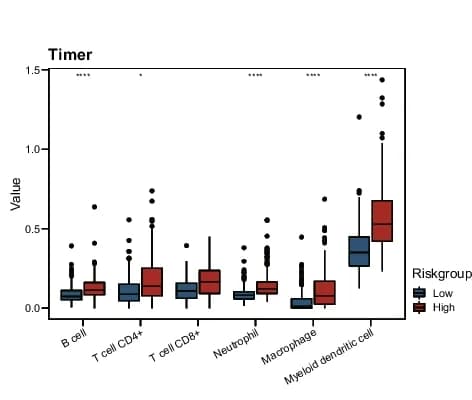 Open access visualization of Box Plot, Box Plots, Immune Cell Infiltration, TIMER2