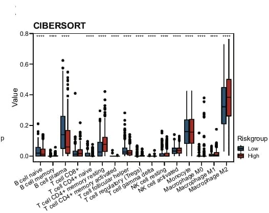 Open access visualization of Box Plot, Box Plots, Immune Cell Infiltration, CIBERSORT, Kruskal-Wallis Test